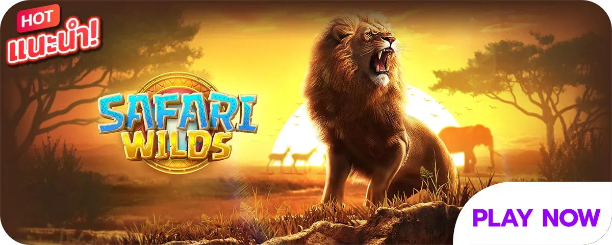 369joker safariwilds